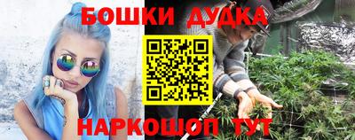 мдпв Ачхой-Мартан