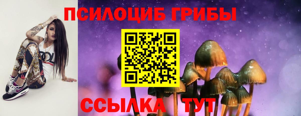 Галлюциногенные грибы GOLDEN TEACHER  Псилоцибиновые грибы Magic Shrooms  Вход с VPN  Александров 