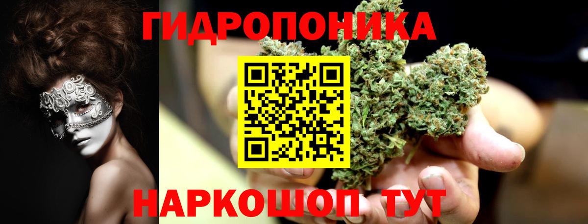Марихуана ГИДРОПОН  Конопля MAZAR  Каннабис план  Александров  Вход с VPN 